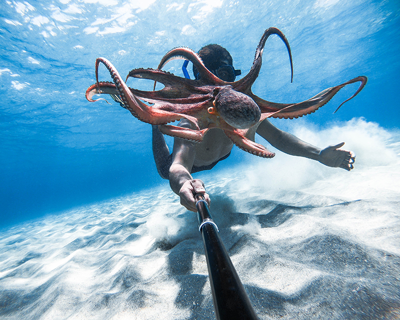GoPro kicks off #UnderwaterSelfieDay with PADI
