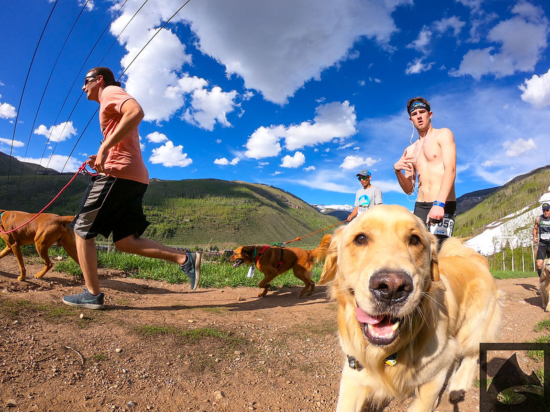 2020 gopro mountain games registration open