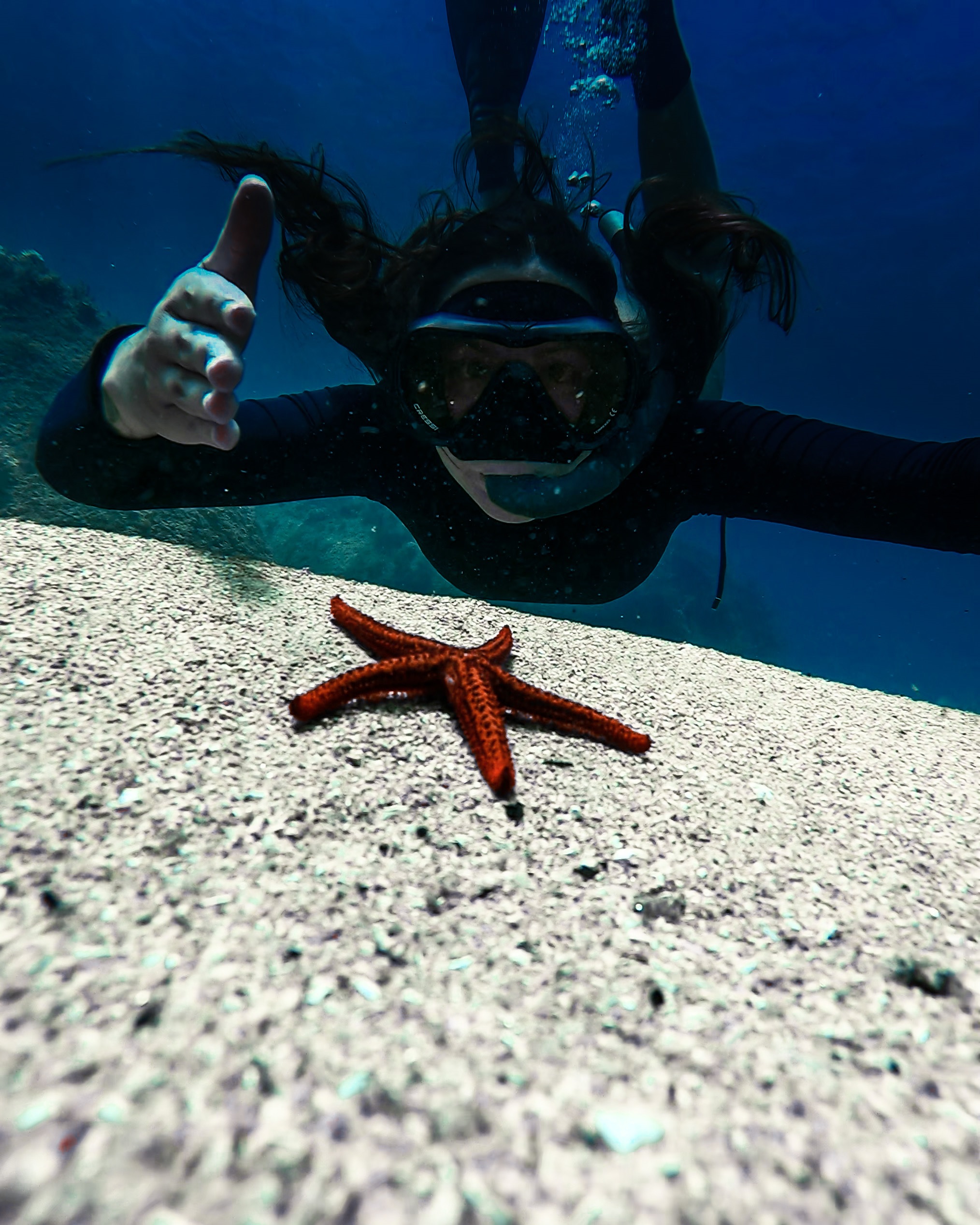 gopro, maysa santoro, mergulho, estrela do mar